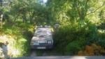 bmps2003 (111)