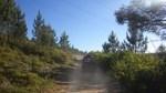 bmps2003 (152)
