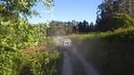 bmps2003 (166)