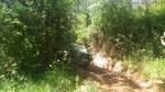 bmps2003 (215)