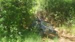 bmps2003 (224)