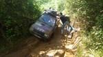bmps2003 (230)
