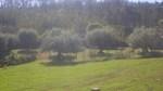 bmps2003 (53)