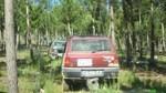 bmps2003 (66)