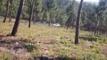 bmps2003 (70)