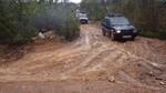 bmps2003 (129)