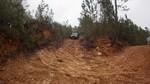 bmps2003 (13)