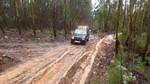 bmps2003 (147)
