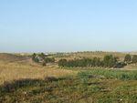 DSCF0303.JPG