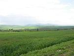 DSCN1858