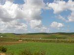 SANY0052.JPG