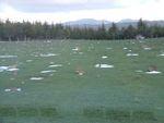 DSCF3067.JPG