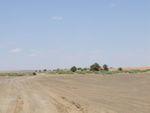 DSCF3273.JPG