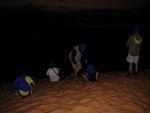 DSCN2278