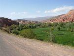 DSCN0082