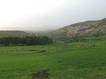DSCF0241.JPG