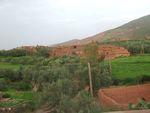 DSCF0257.JPG