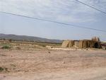 DSCN0339