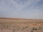 DSCN0340