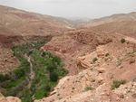 DSCN0366