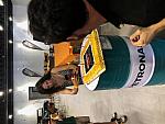 IMG 9870
