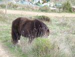 DSCF3808.JPG