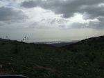 DSCF3810.JPG