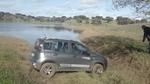 bmps2003 Pandas (33)