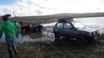 bmps2003 Pandas (59)