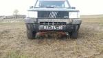 bmps2003 Pandas (75)