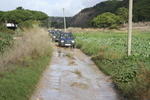 IMG 9676
