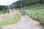 IMG 9678