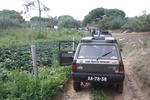 IMG 9680