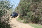 IMG 9684