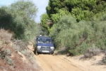 IMG 9686