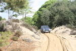 IMG 9688