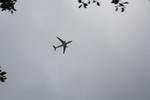 IMG 9689
