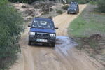 IMG 9695