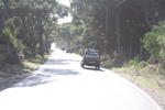 IMG 9698