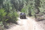 IMG 9701