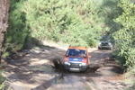 IMG 9702