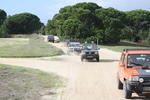 IMG 9724
