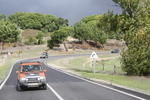 IMG 9737