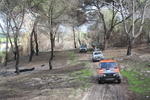 IMG 9742