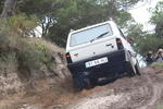 IMG 9767
