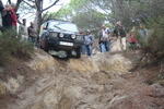IMG 9778