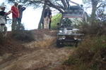 IMG 9782