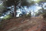 IMG 9785