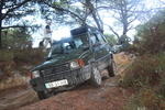 IMG 9795