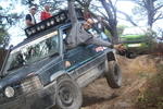IMG 9798